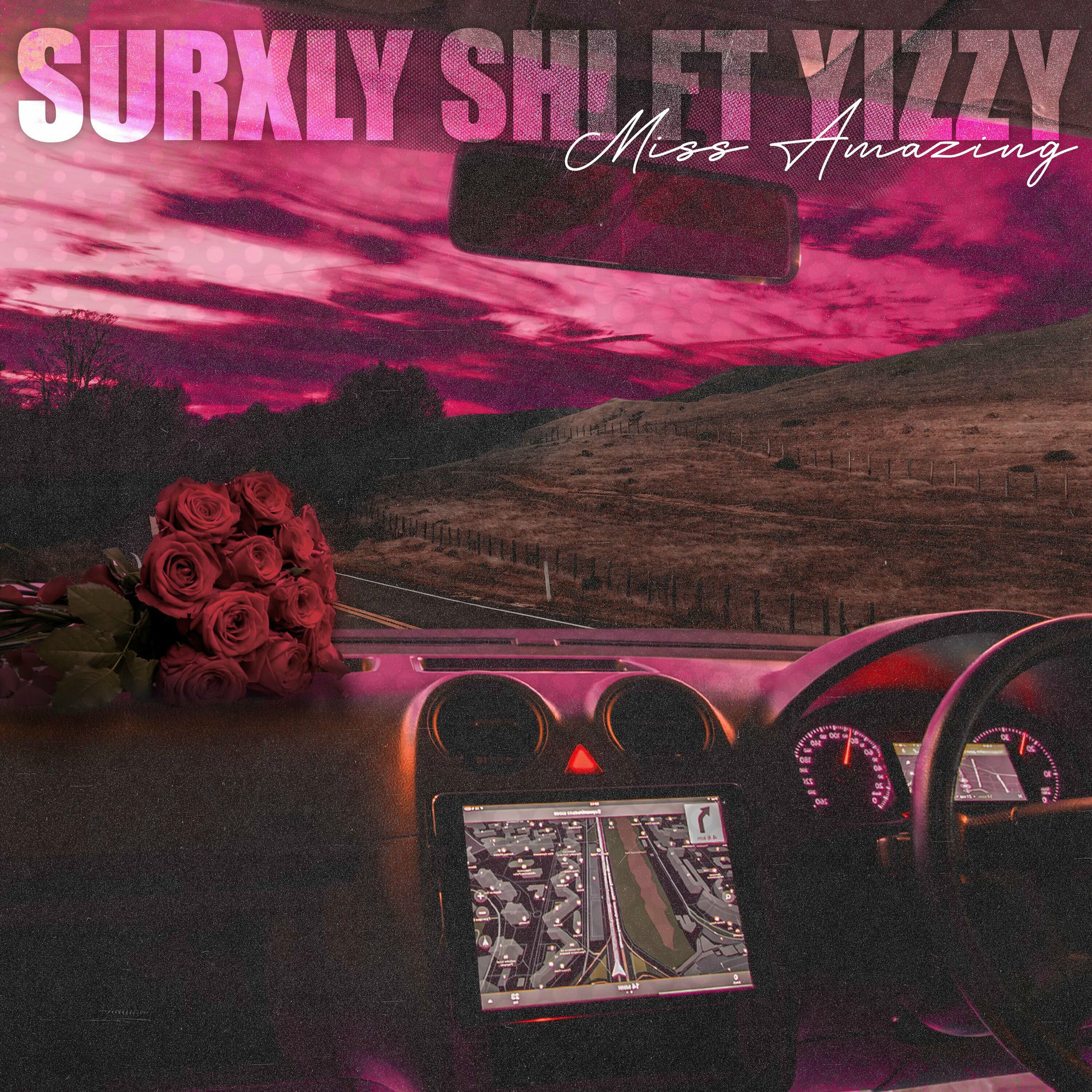 Album cover of Miss Amazing