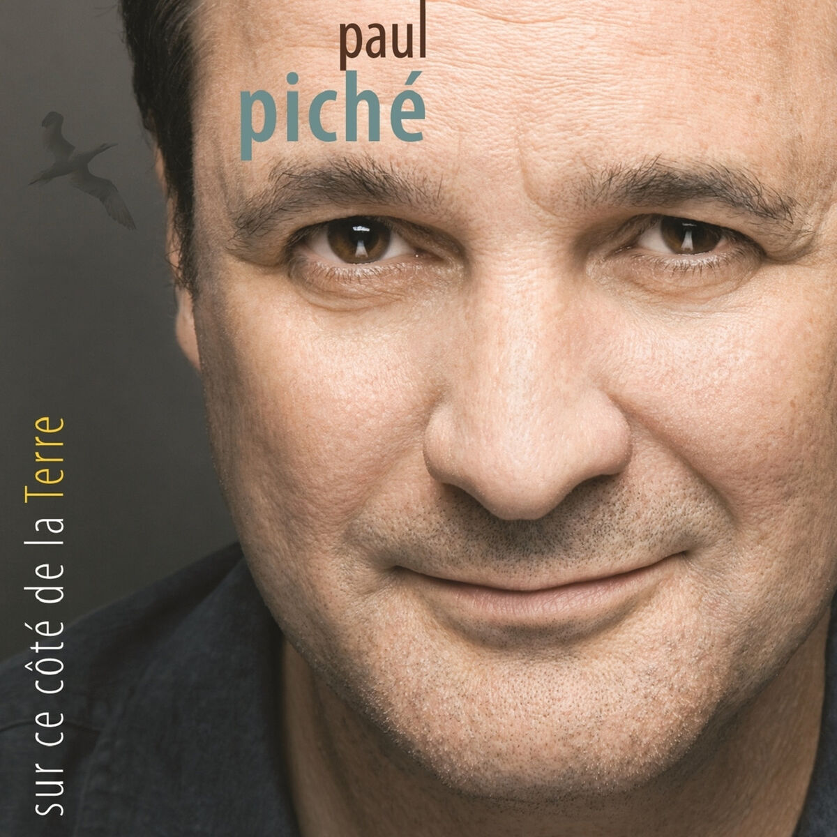 Album cover of Sur Ce Côté De La Terre