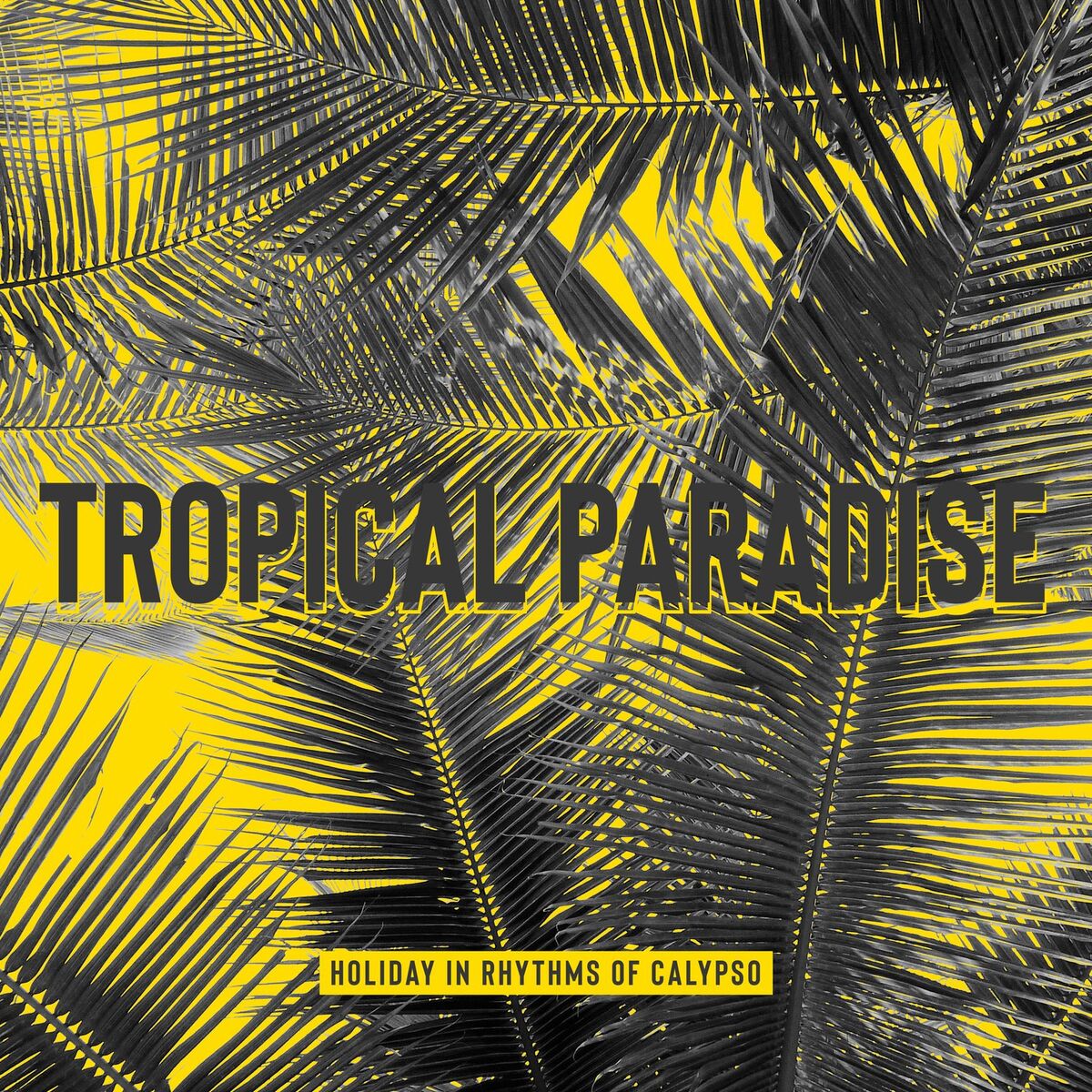 Album cover of Tropical Paradise: Holiday in Rhythms of Calypso