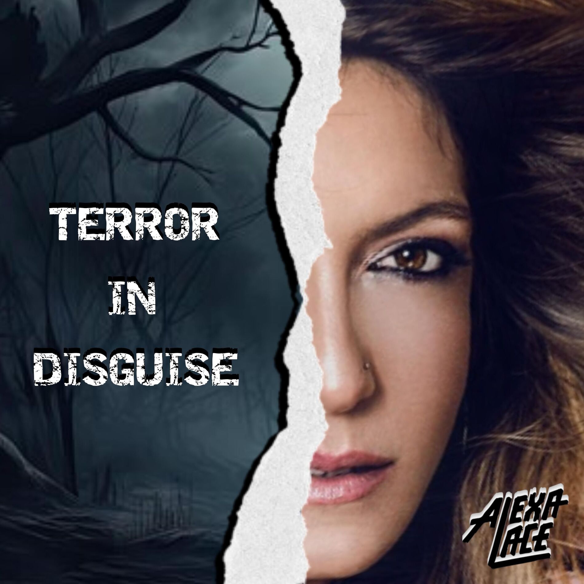 Album cover of Terror in Disguise