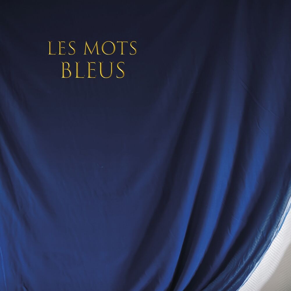 Picture of Les mots bleus