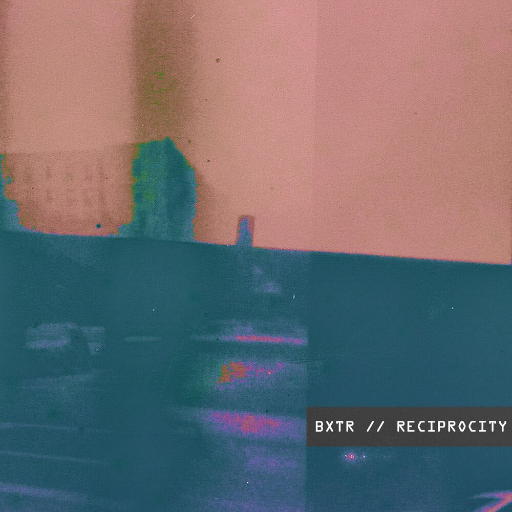 Picture of Reciprocity