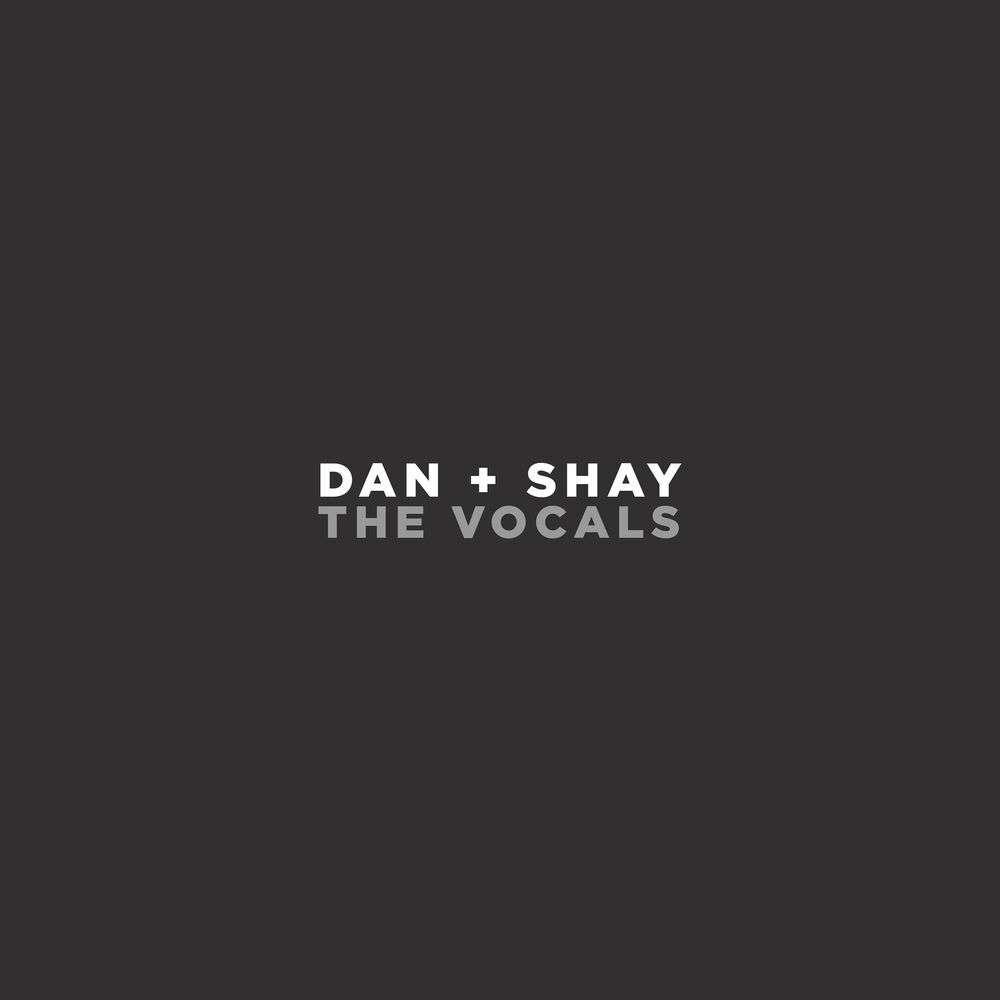 Picture of Dan + Shay (The Vocals)