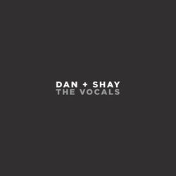 Cover of Dan + Shay (The Vocals)