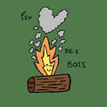 Feu des bois