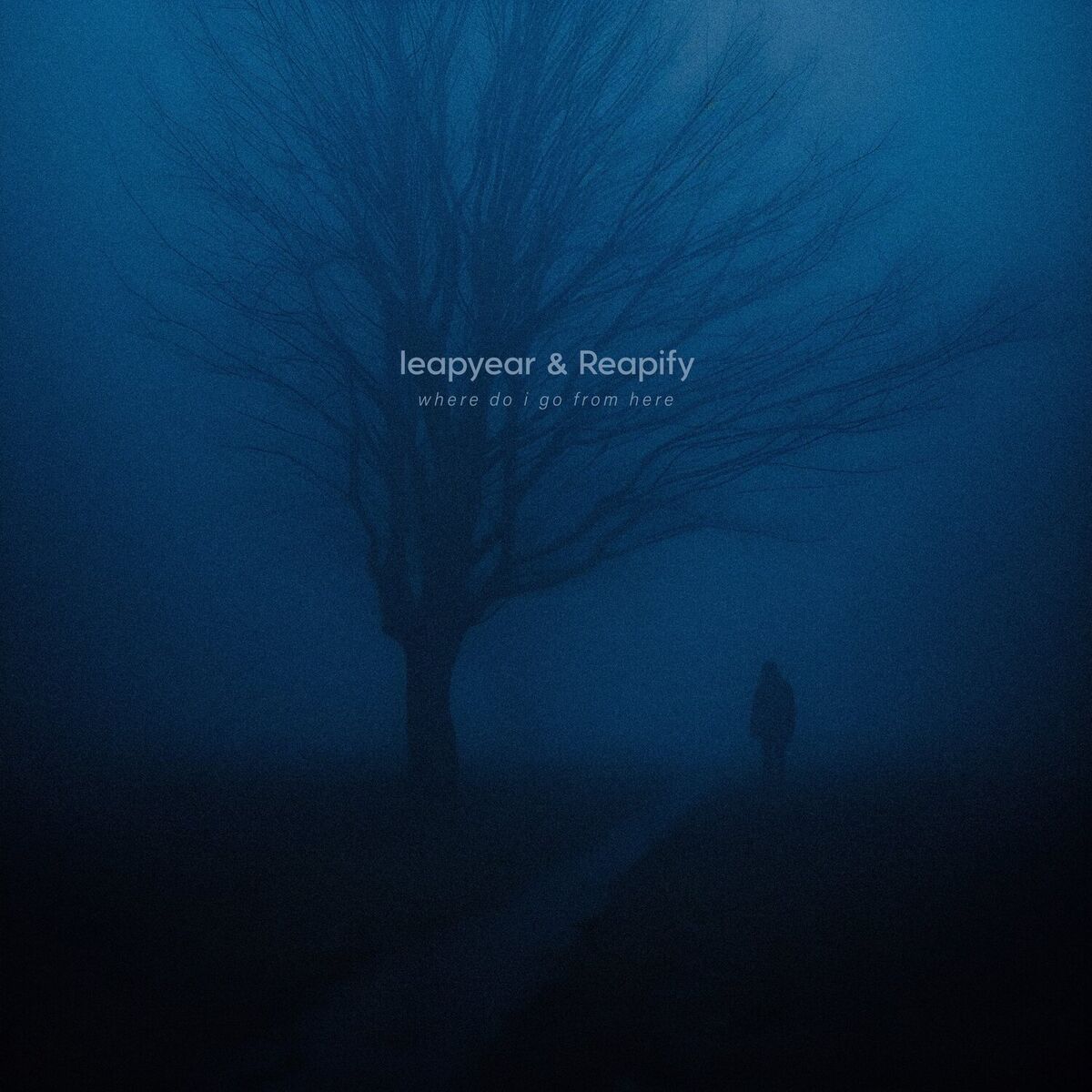 Album cover of where do i go from here
