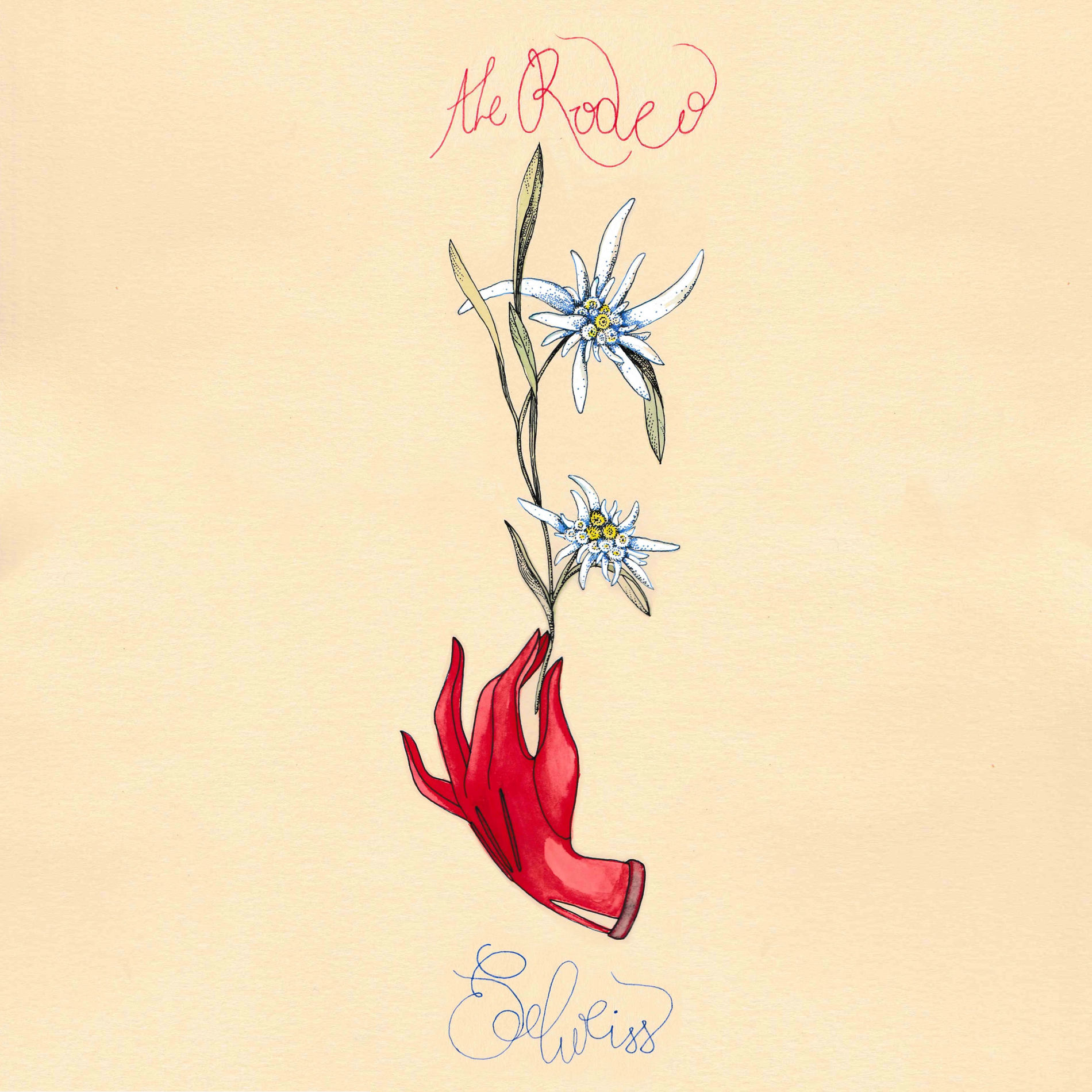 Album cover of Edelweiss