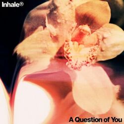 Cover of A Question of You