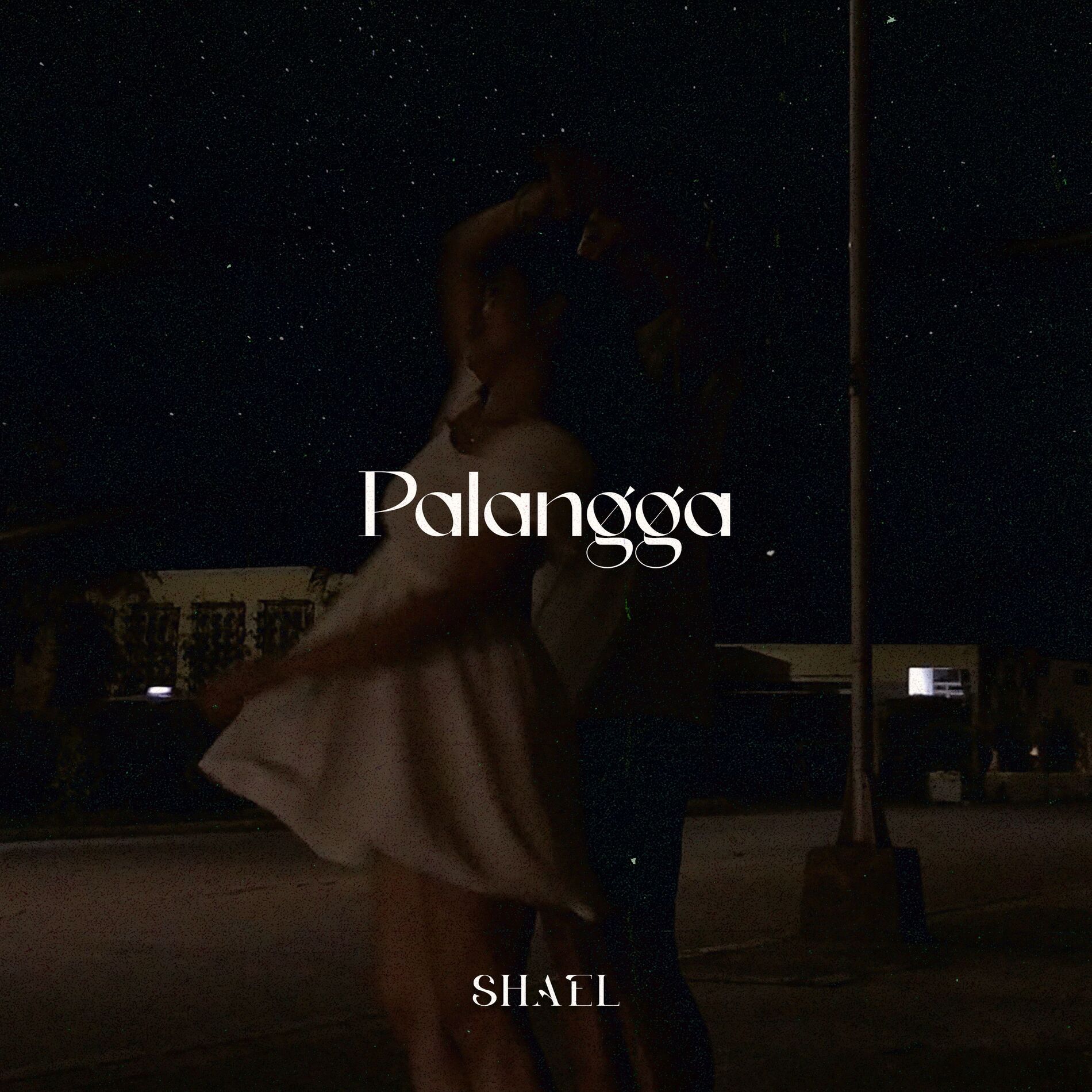 Album cover of Palangga