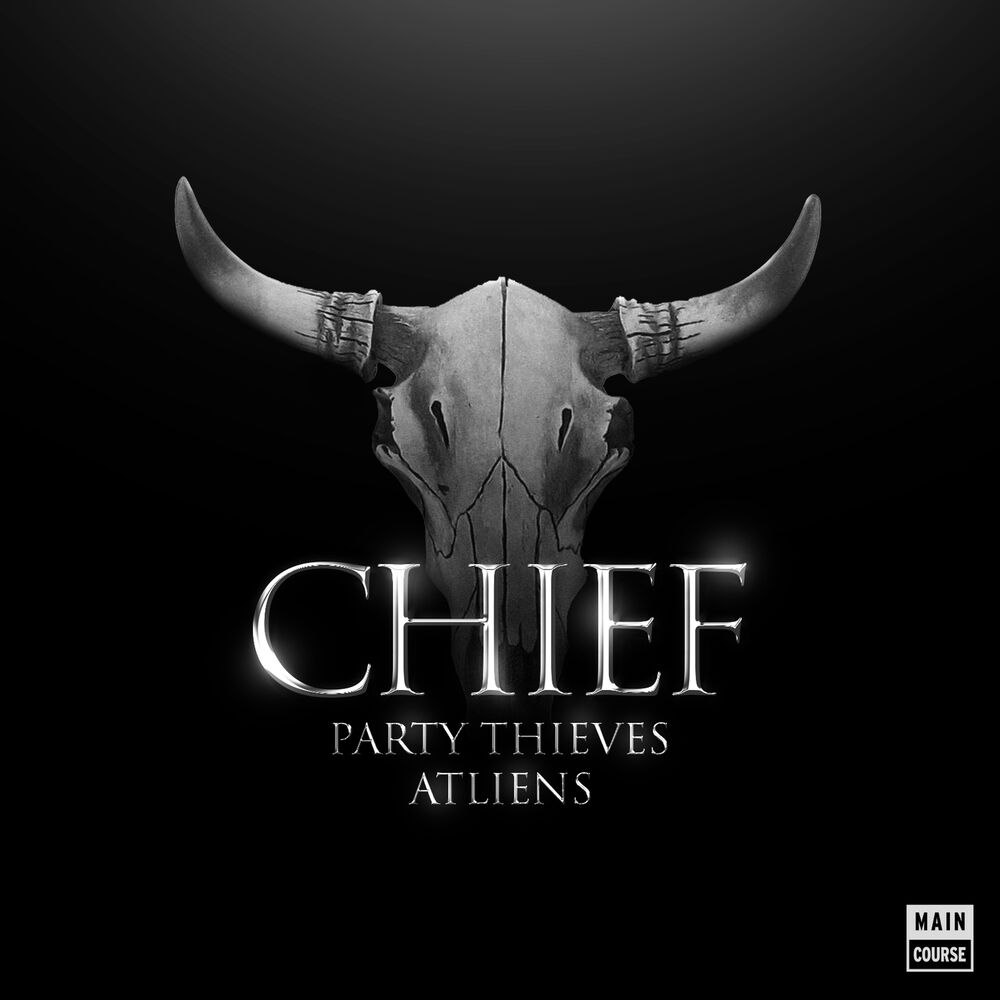 Picture of Chief