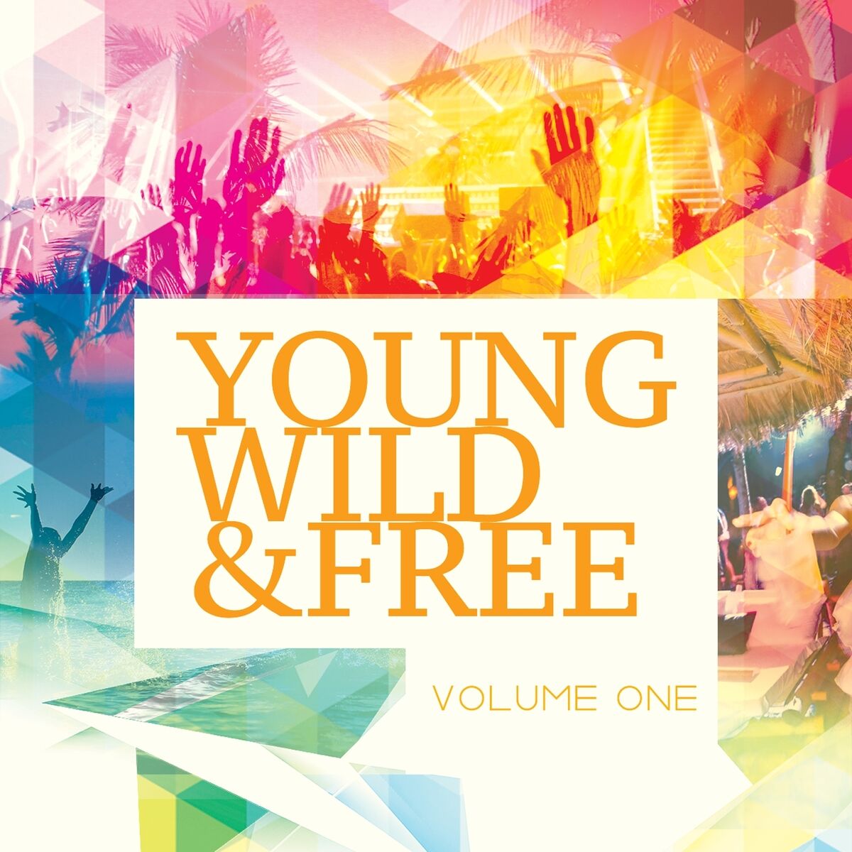 Album cover of Young Wild & Free, Vol. 1 (Best of Progressive House Music)