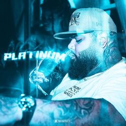 Cover of Platinum