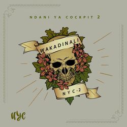 Cover of Ndani Ya Cockpit 2