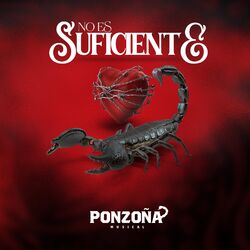Cover of No Es Suficiente