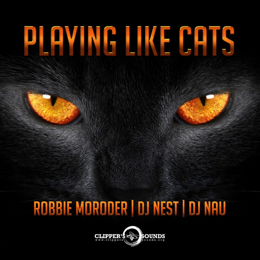 Picture of Playing Like Cats