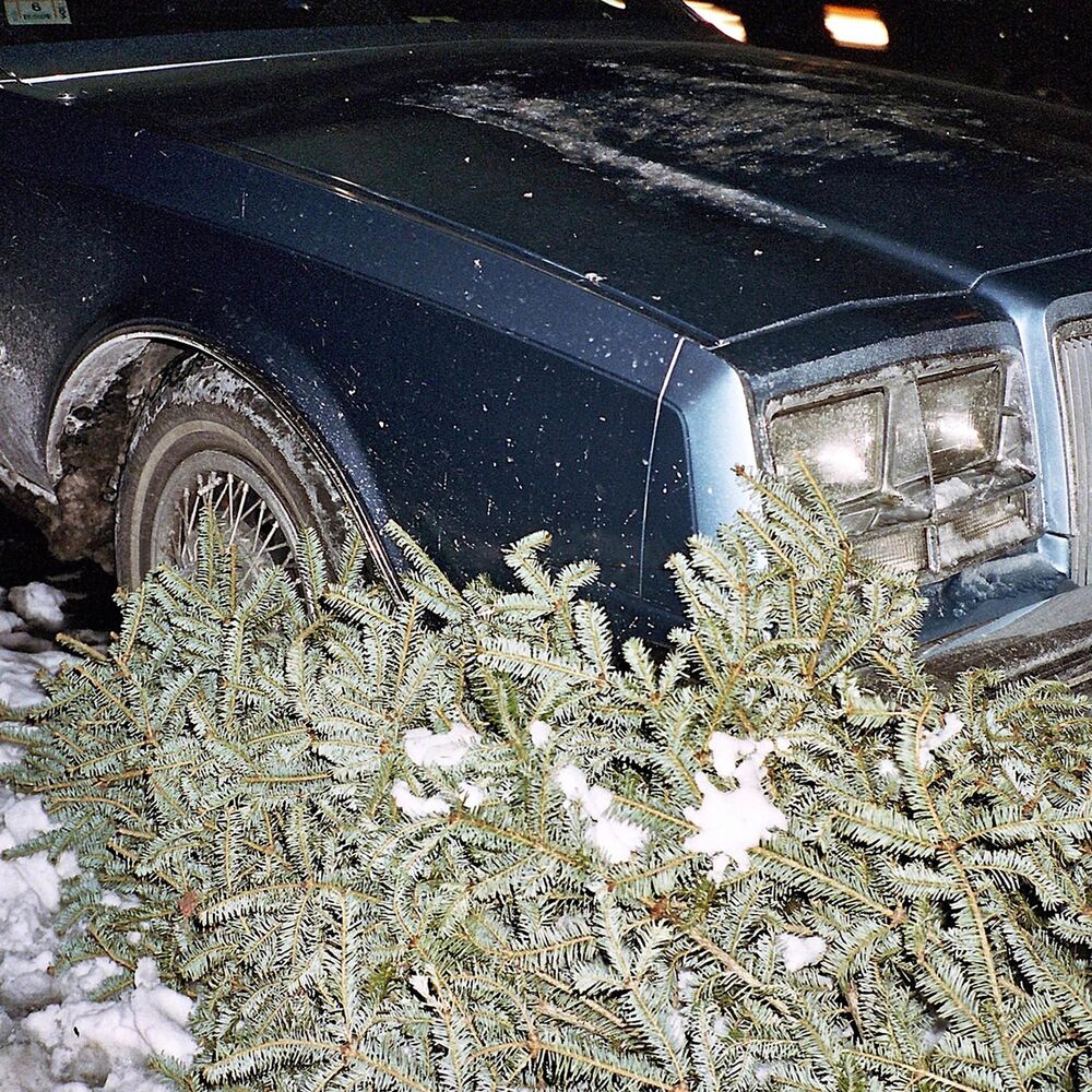 Picture of winter_bumps 002