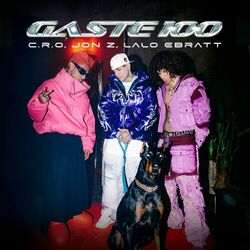Cover of Gaste 100