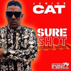 Cover of SURE SHOT (Mastered)