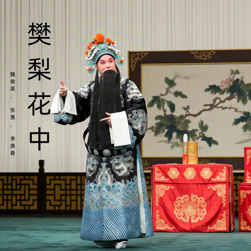 樊梨花中 (豫剧)