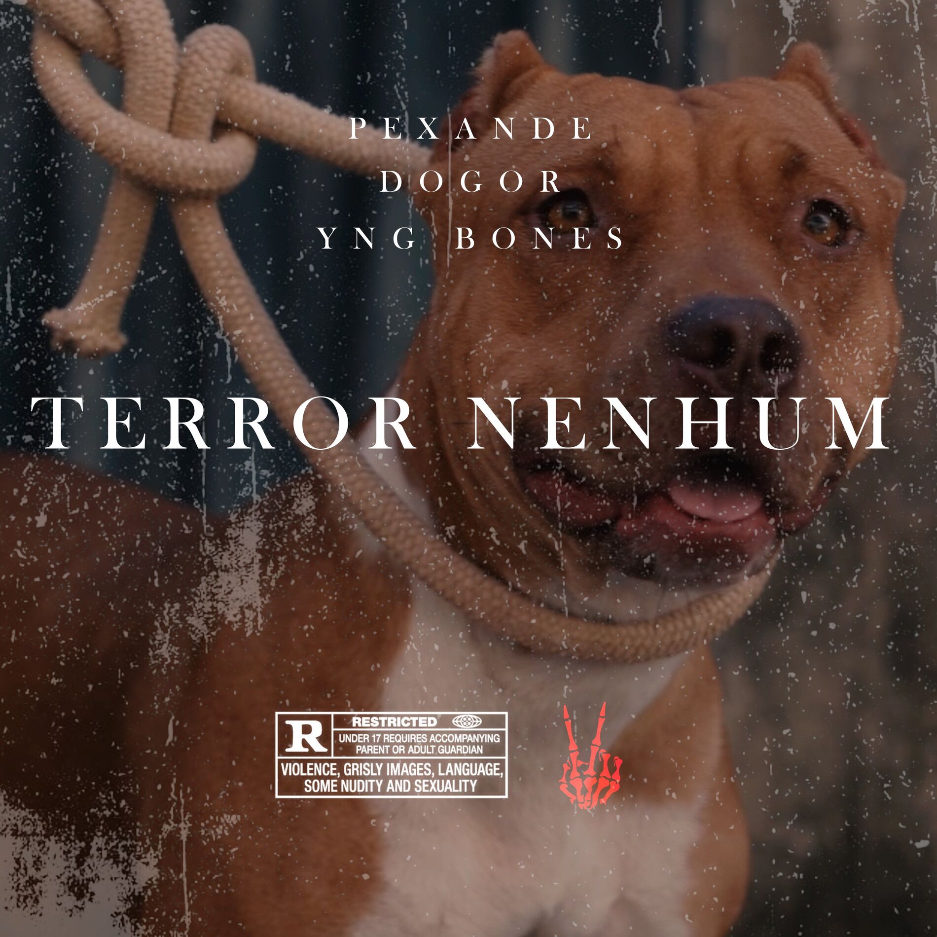 Album cover of Terror Nenhum