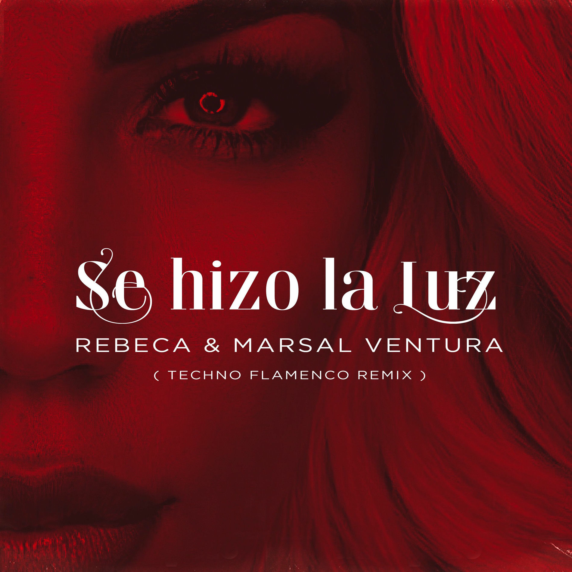 Album cover of Se hizo la luz (Techno Flamenco Remix)