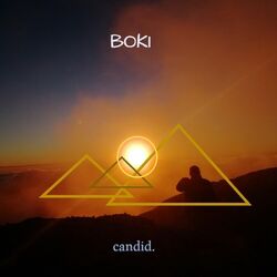 Cover of Candid.