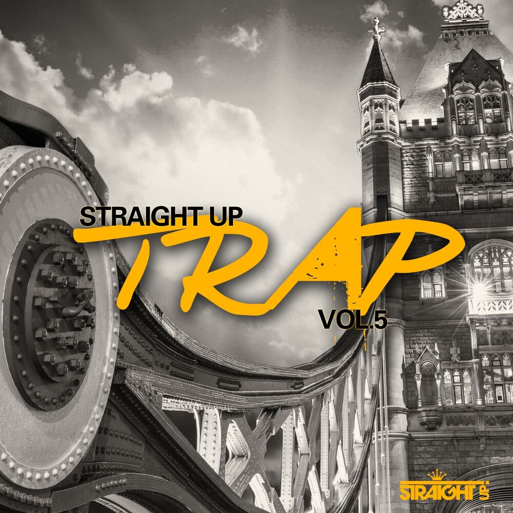 Picture of Straight Up Trap! Vol. 5