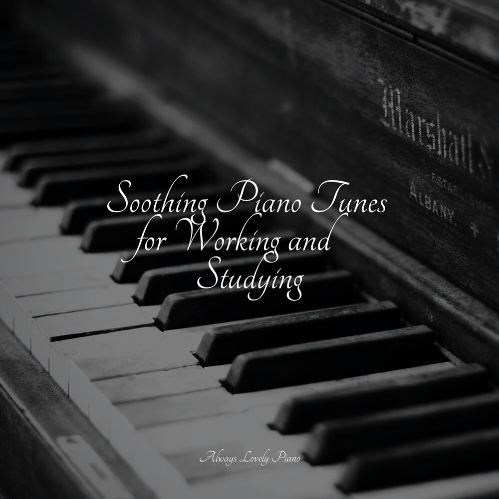 Picture of Affirming Melodies | Chill Ambience