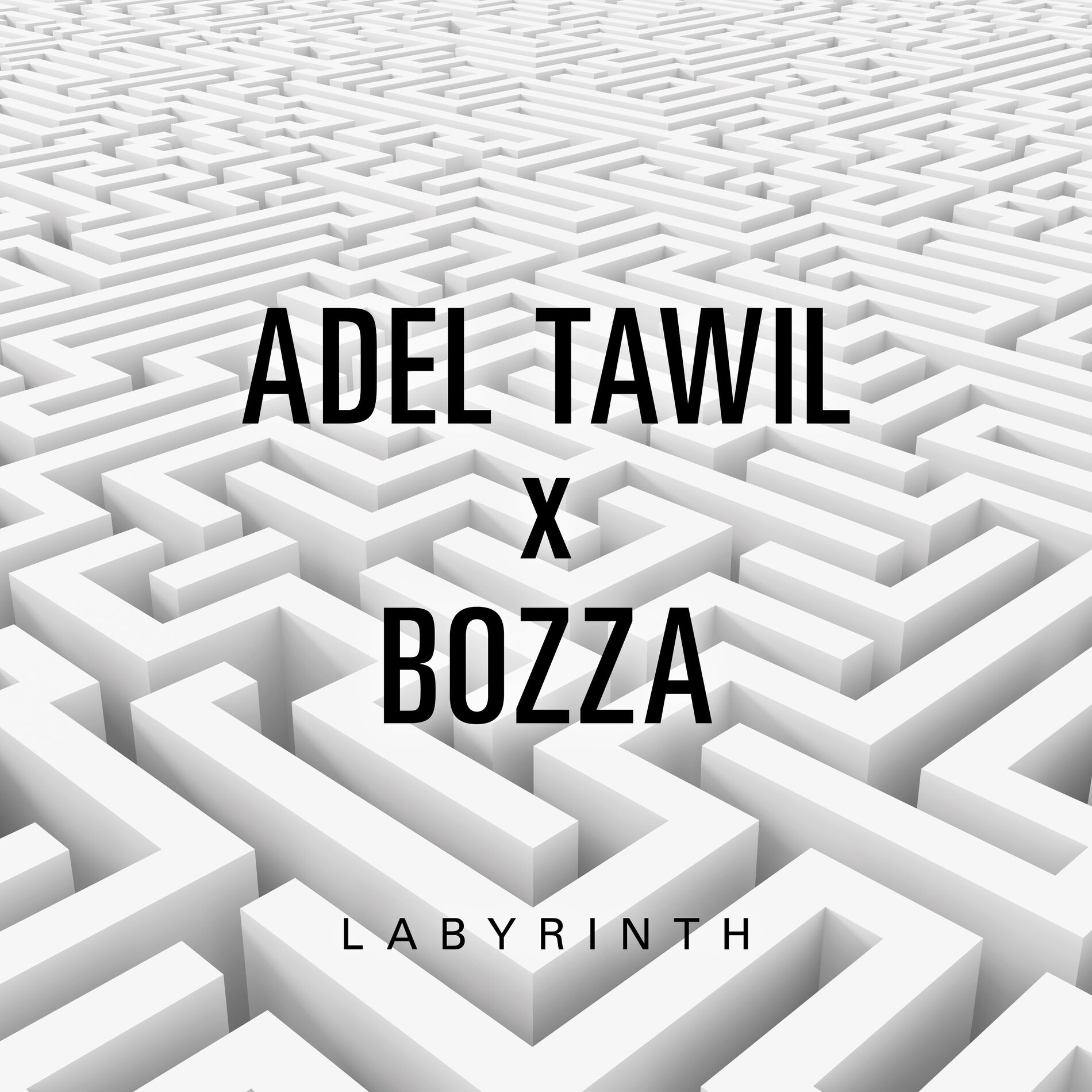 Album cover of Labyrinth