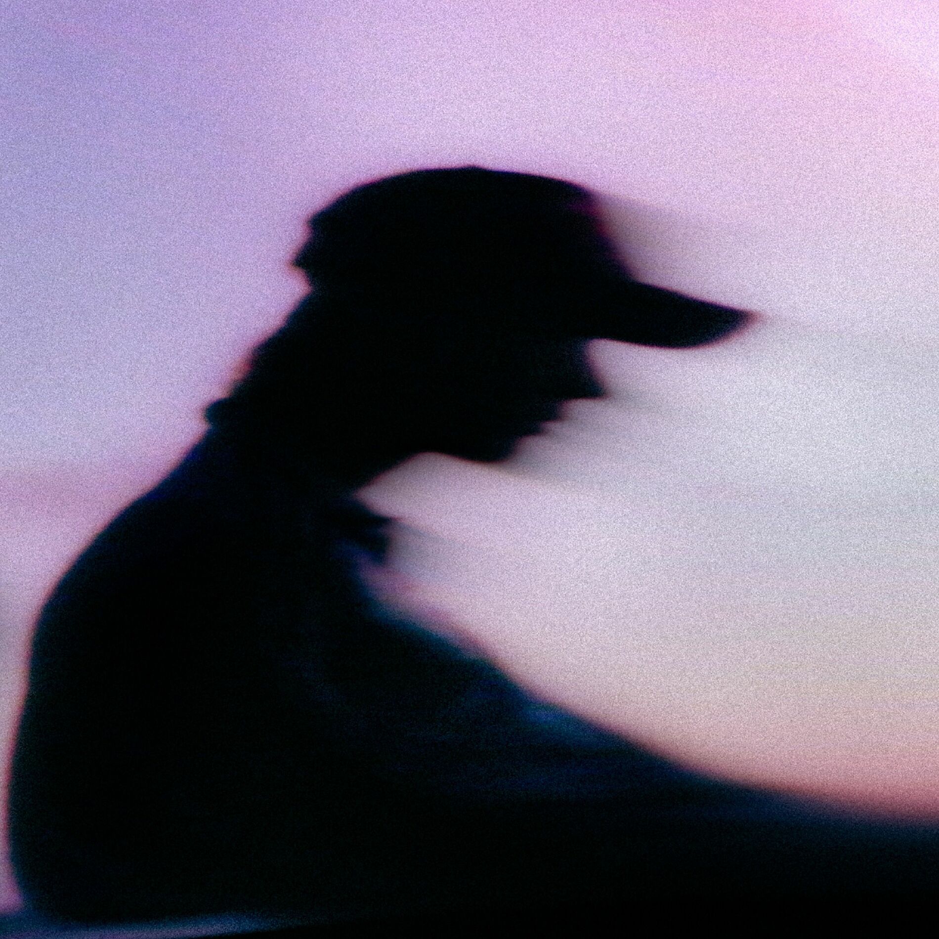 Album cover of De Dronken Zenmeester