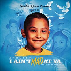 Cover of I Ain't Mad at Ya