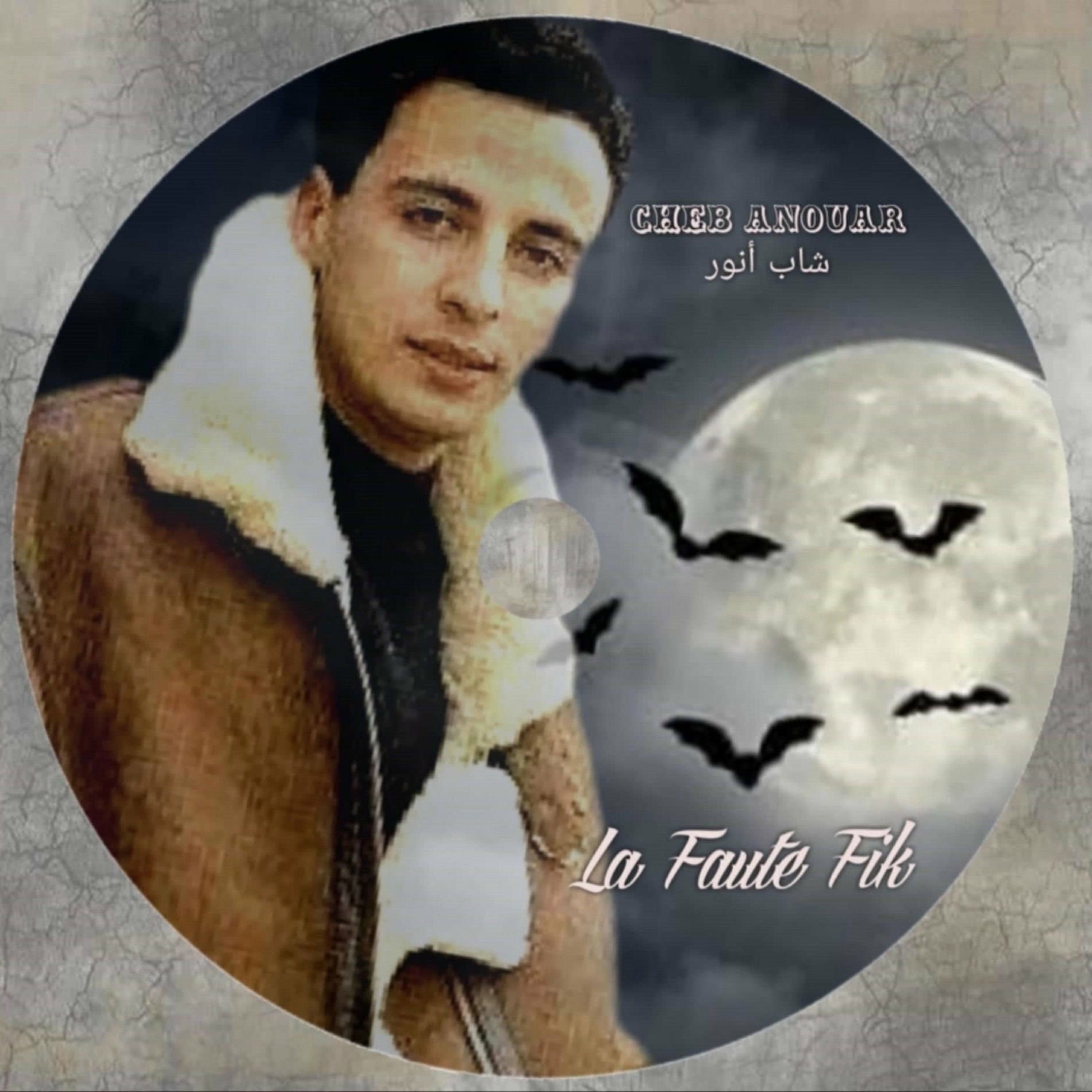 Album cover of La Faute Fik