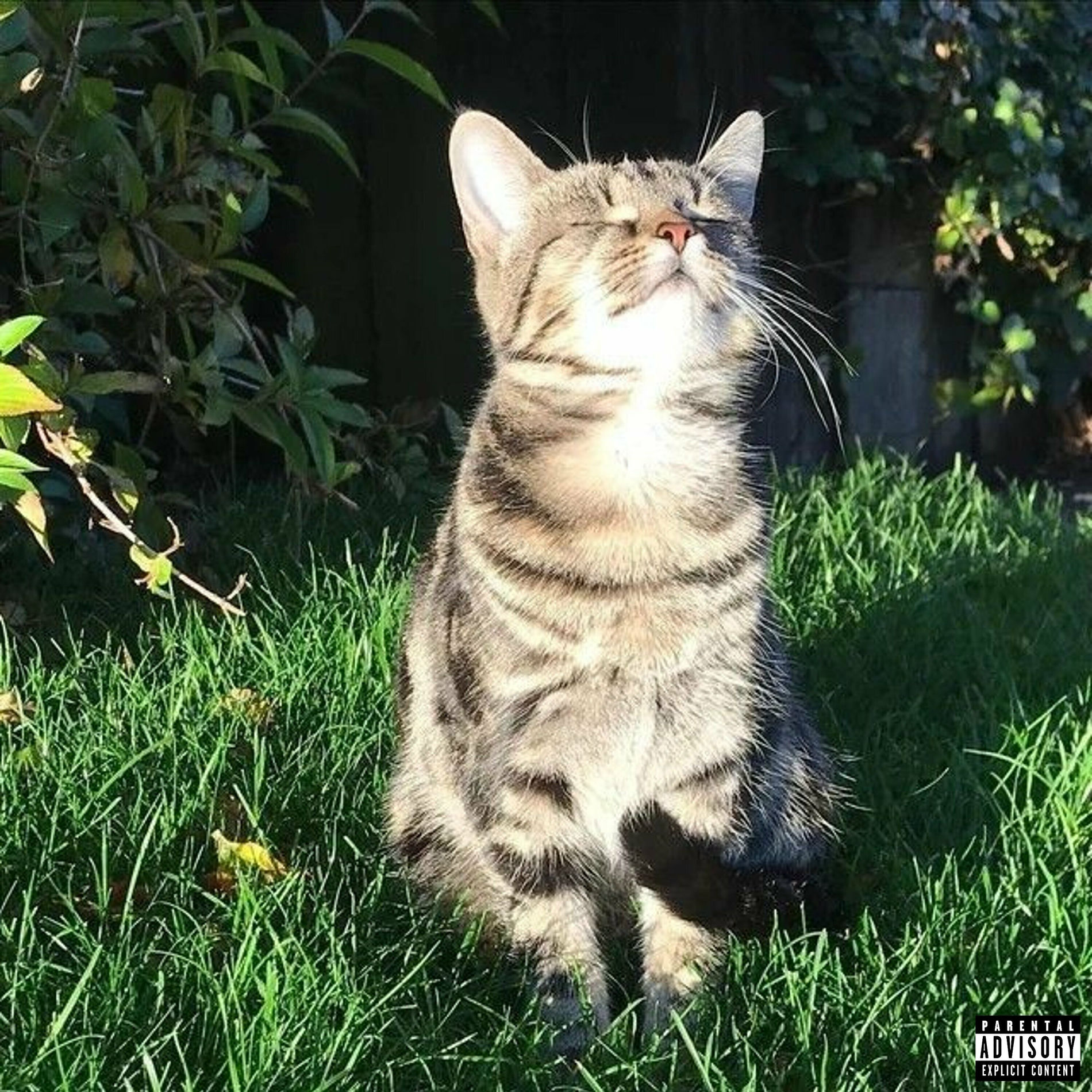Album cover of Não Vou Namorar