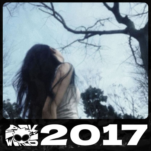 2017