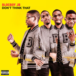 Cover of Don't Think That