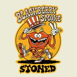 Cover of Stoned