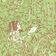 Birth of the Flower (Seagreen)