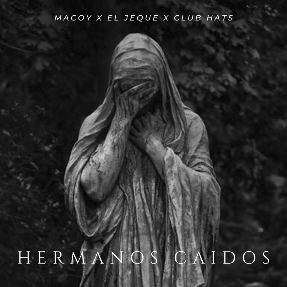 Album cover of Hermanos Caidos