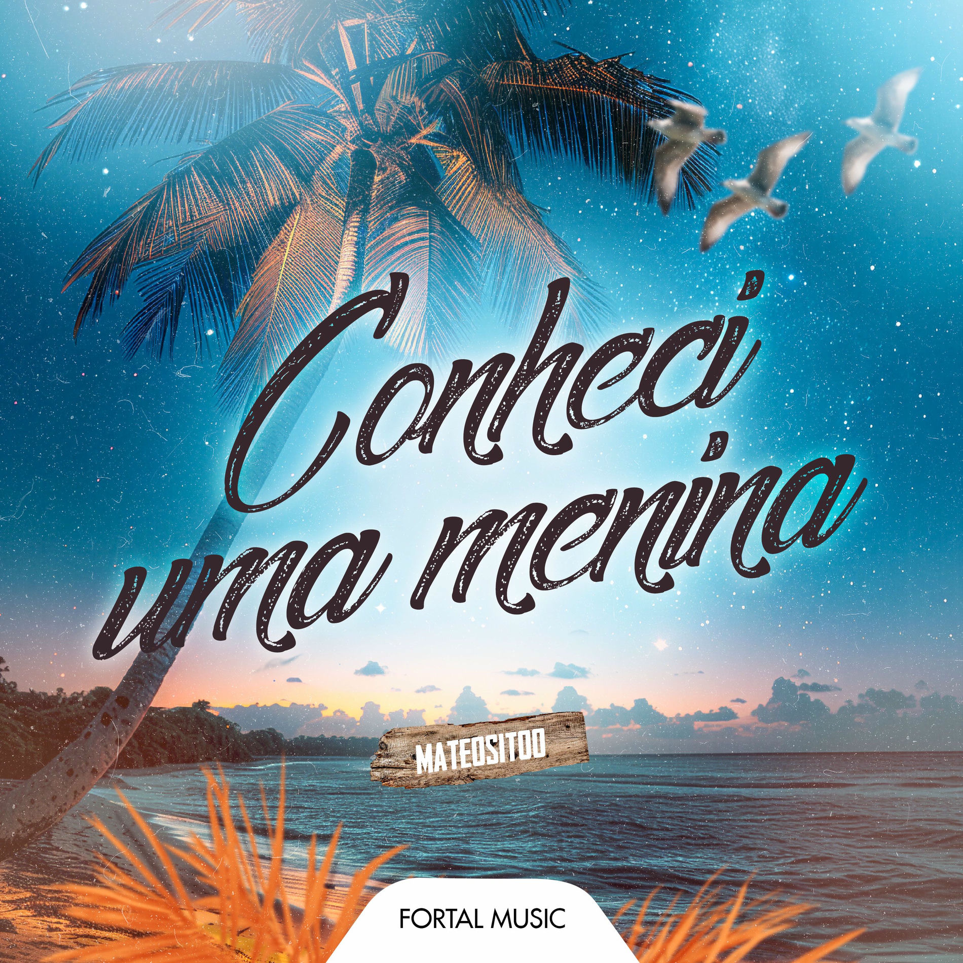 Album cover of Conheci Uma Menina (Remix)