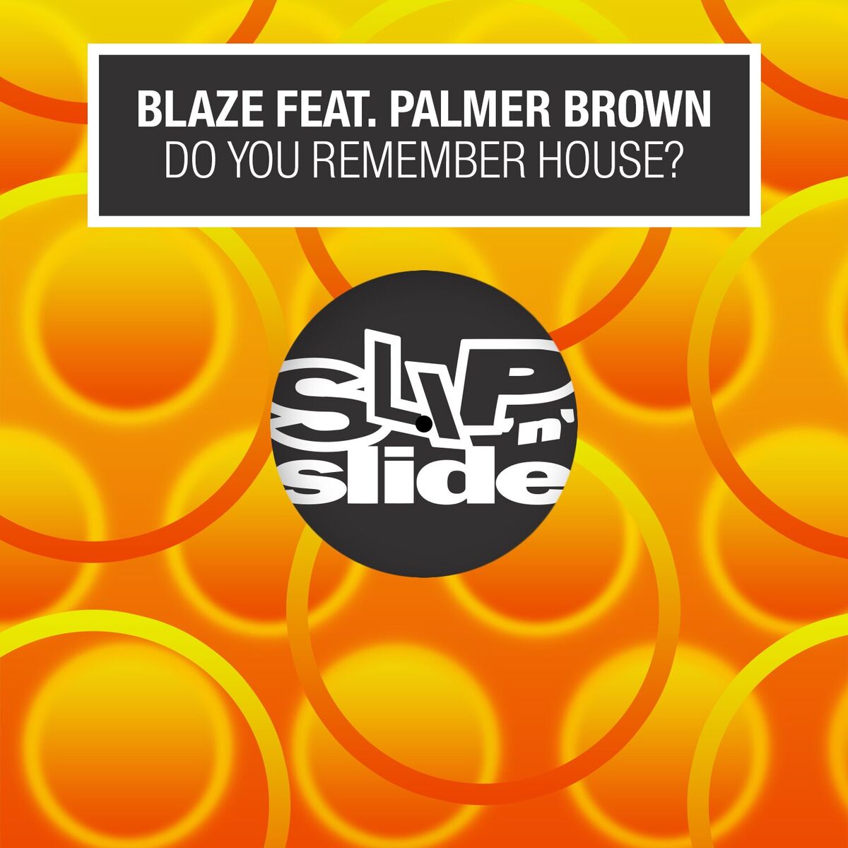 Album cover of Do You Remember House?