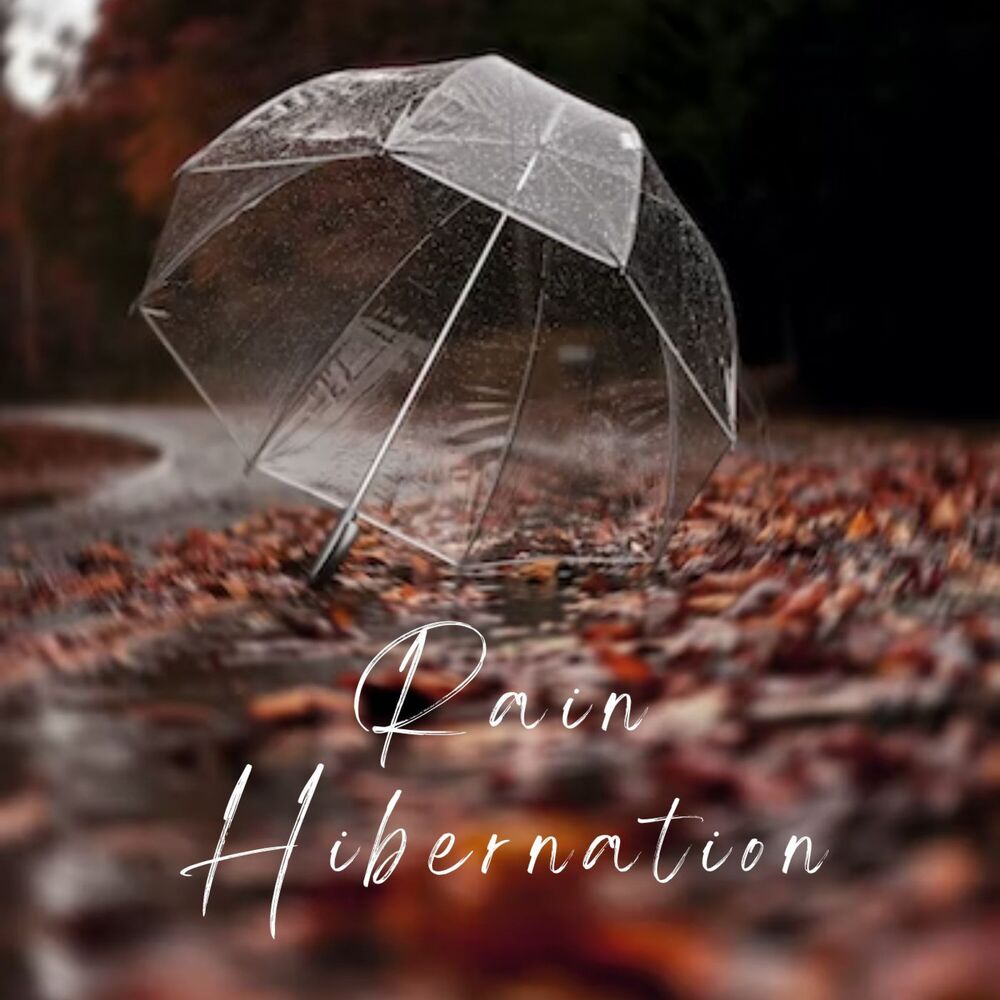 Picture of Rain Hibernation - 3 hours