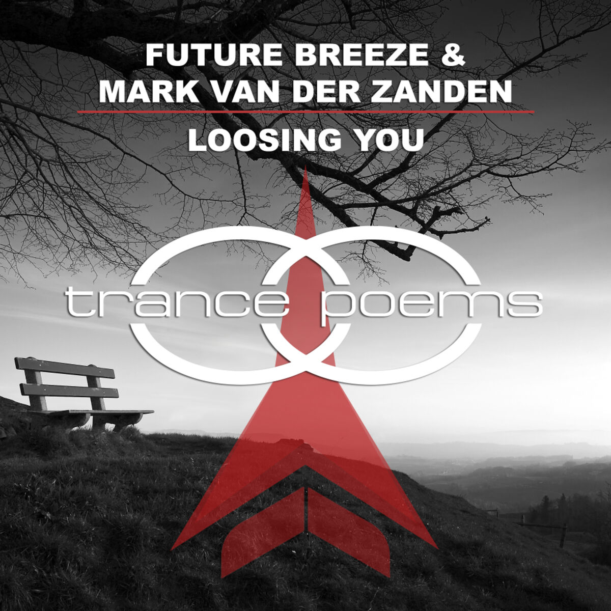 Album cover of Loosing You