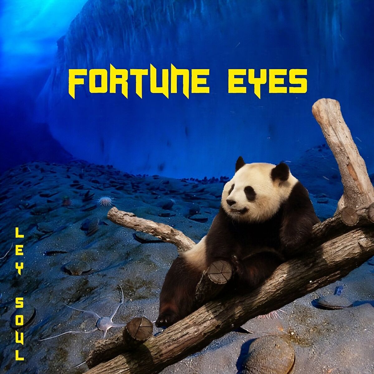 Album cover of Fortune Eyes