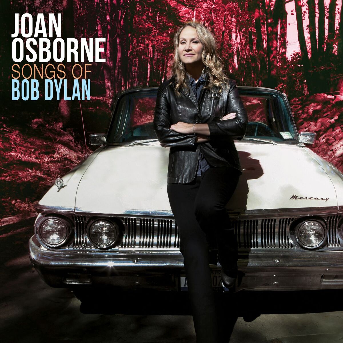 Album cover of Songs of Bob Dylan