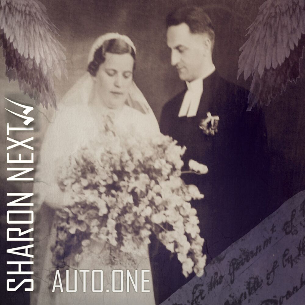 Picture of Auto.One