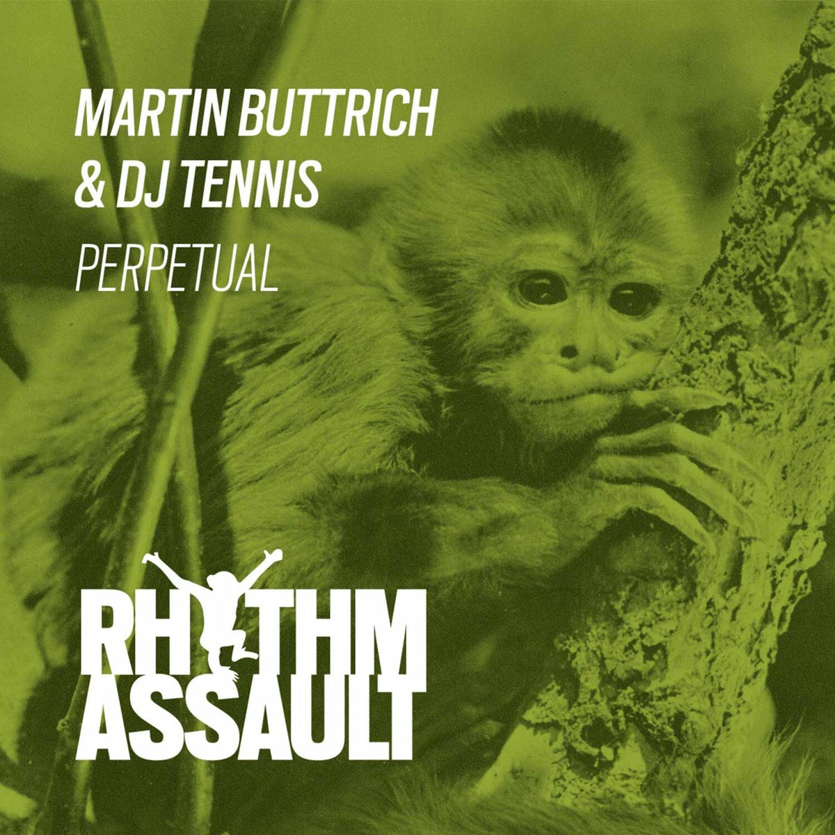 Album cover of Perpetual