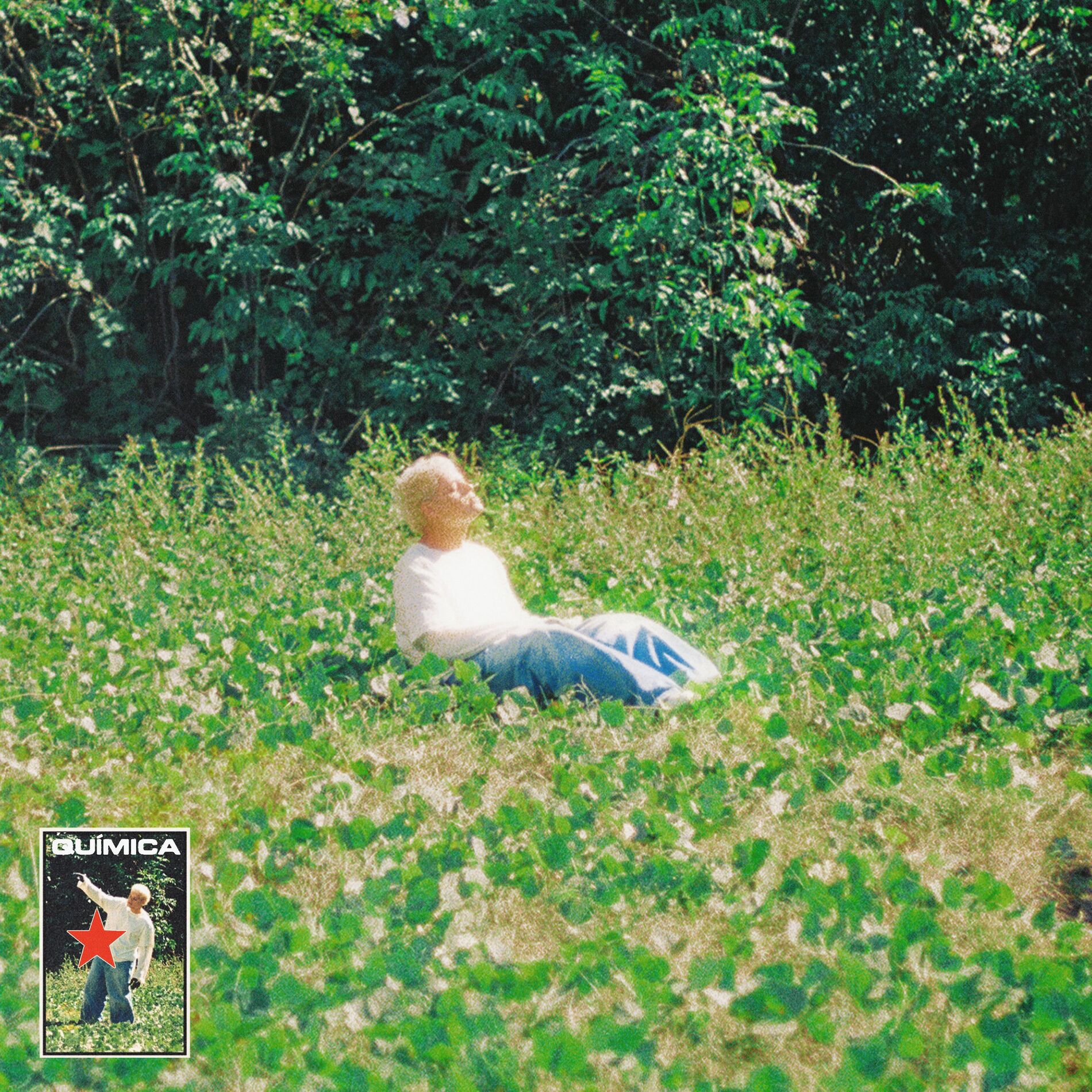 Album cover of Química