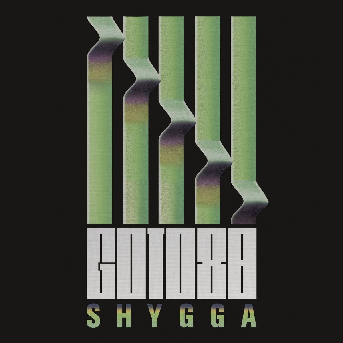 Album cover of S H Y G G A