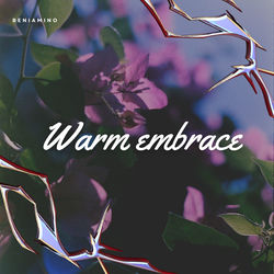 Cover of Warm embrace by undefined