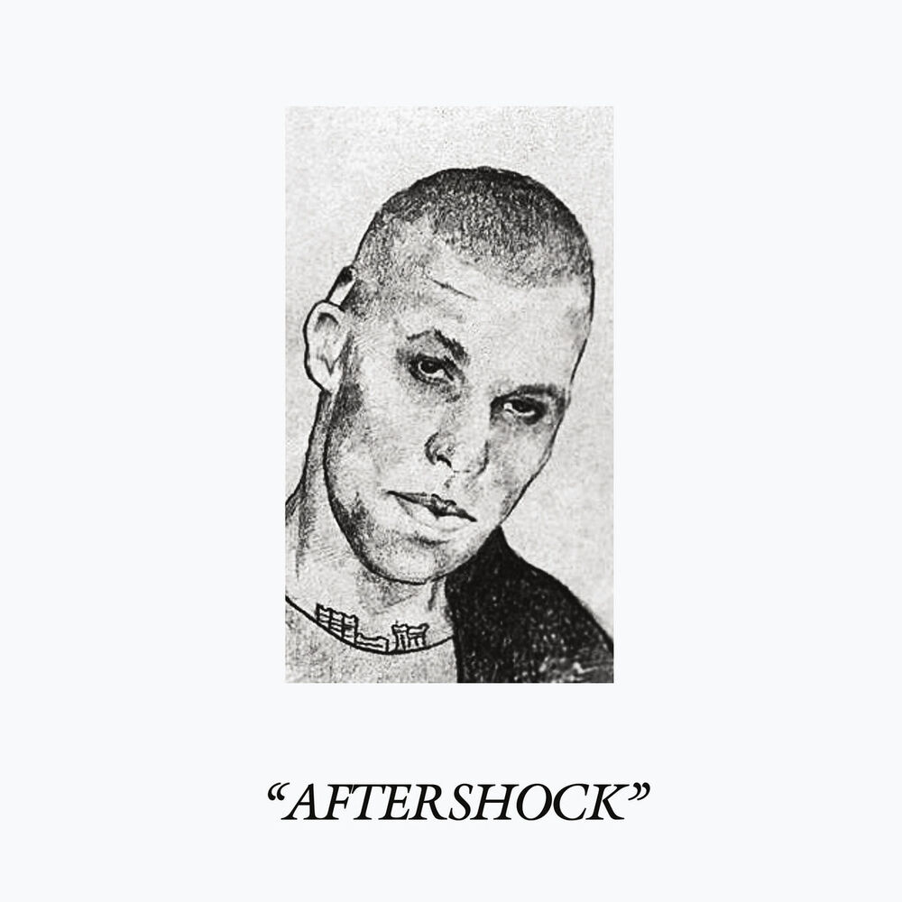 Picture of Aftershock